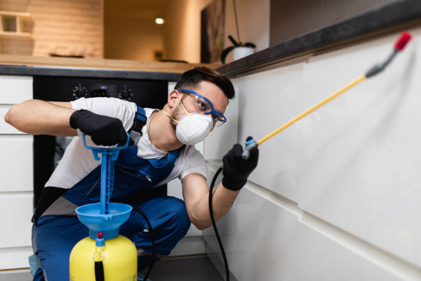 Flea Control Services in Taylorsville, KY