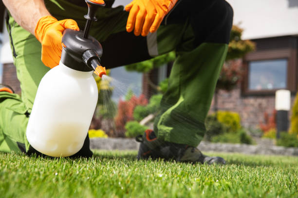 Best Cockroach Control Services  in Taylorsville, KY
