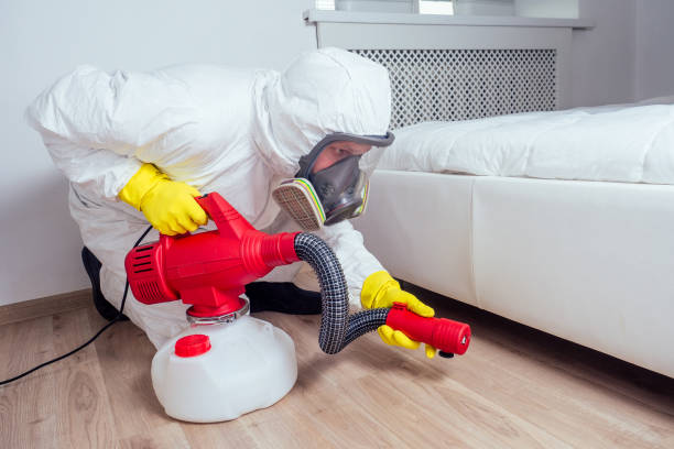 Trusted Taylorsville, KY Pest Control Experts